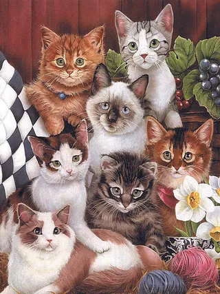 唯美水彩猫艺术插画