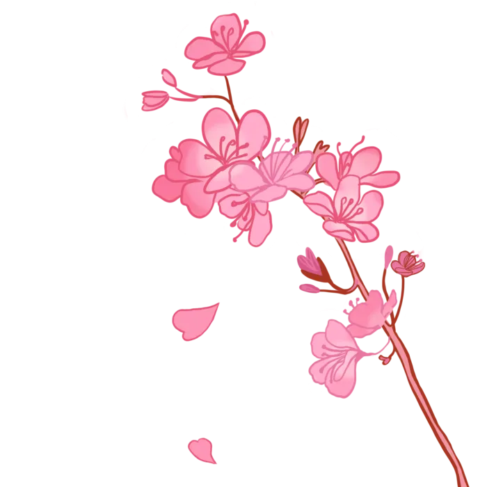春天浪漫粉红色樱花手绘樱花梅花桃花花朵图片PNG免扣素材