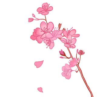 春天浪漫粉红色樱花手绘樱花梅花桃花花朵图片PNG免扣素材