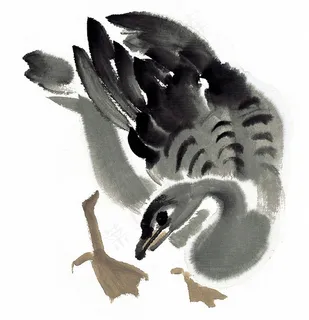 国画鸟大图美图素材 国画鸟大图美图素材