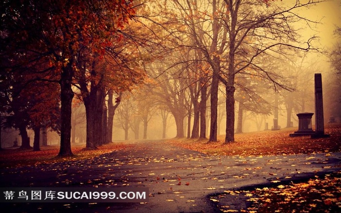 唯美秋天的公园