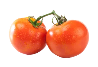 西红柿 (6)超市商品白底图免抠实物摄影png格式图片透明底