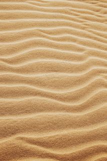 沙漠中的细沙丘图片