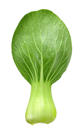 上海青 (27)超市商品白底图免抠实物摄影png格式图片透明底