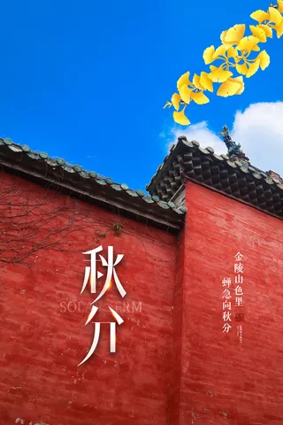 简洁秋分宣传海报