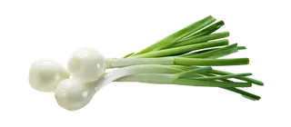 香葱 (9)超市商品白底图免抠实物摄影png格式图片透明底