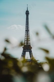 可爱灰色狸花猫图片