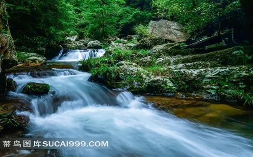 江西井冈山风景图片