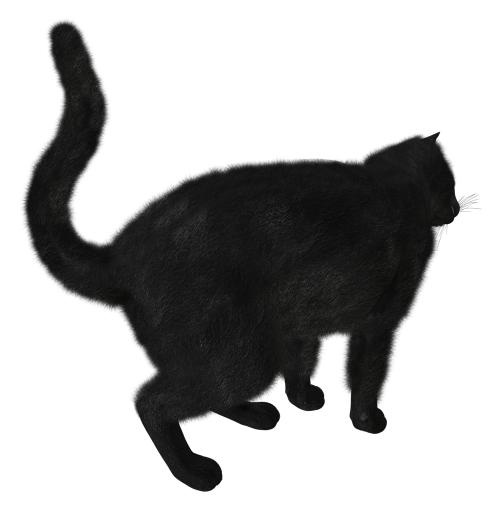 黑猫 PNG免抠(1490x1520)