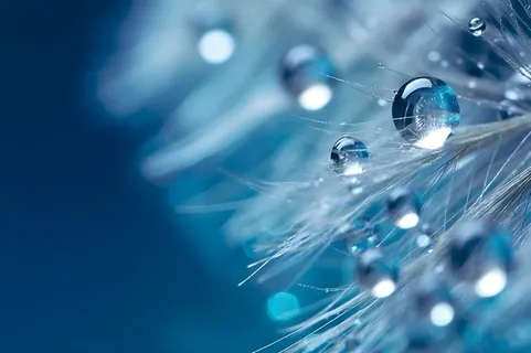 露珠蓝色清新大气背景