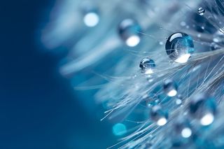 露珠蓝色清新大气背景