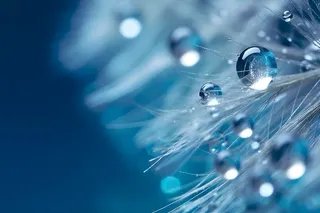 露珠蓝色清新大气背景