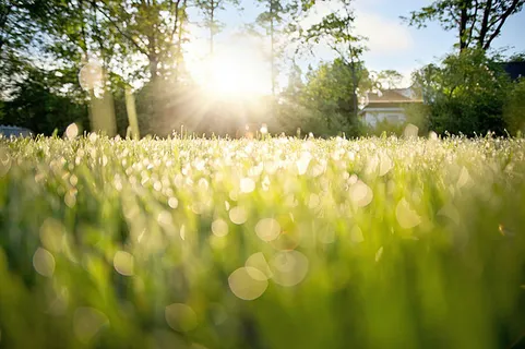 风景 露水 素材拍摄 (168)