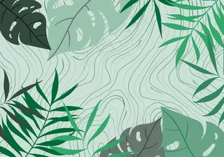 叶 图案 背景 抽象 边境 装饰 现代的 