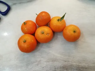 砂糖橘冰糖橘椪柑实拍素材