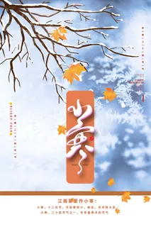 中国传统冬天小寒祝福24二十四节气节日宣传活动海报