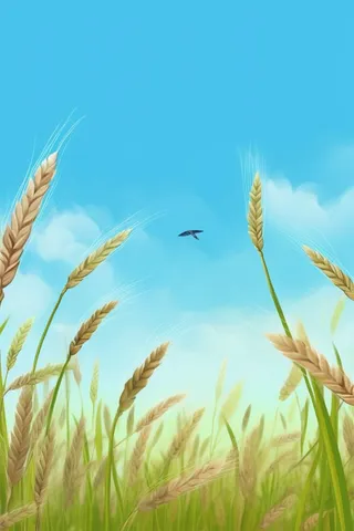 清新麦田蓝色背景