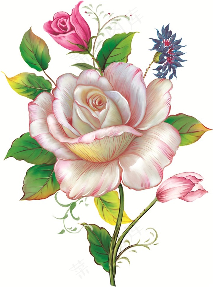 一朵向阳玫瑰