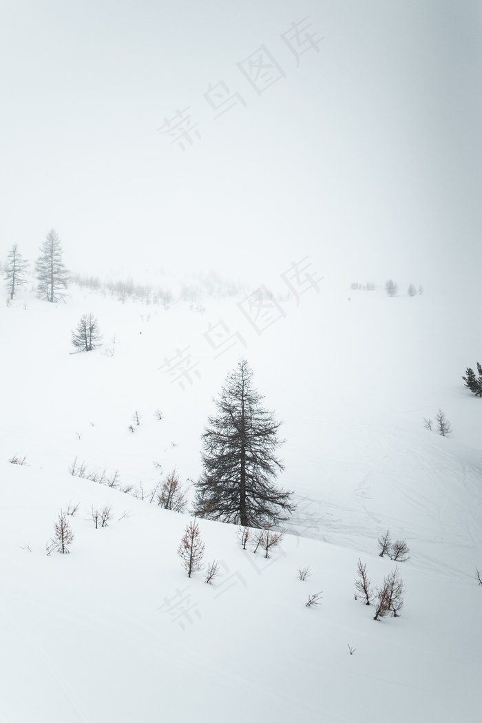 冬季冰天雪地图片
