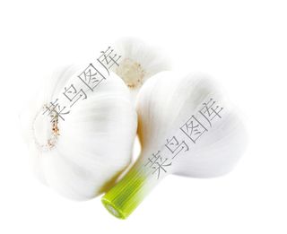 蒜头高清图