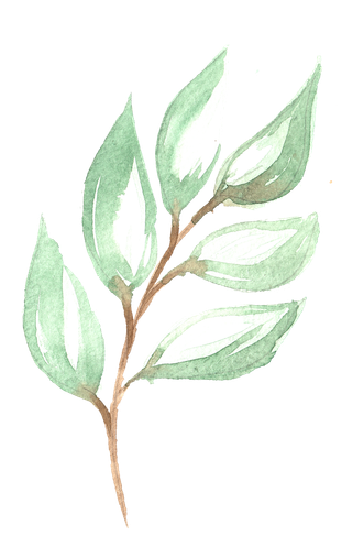 唯美森系手绘水彩花朵 免抠