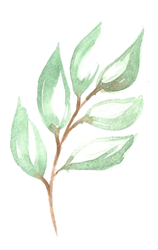 唯美森系手绘水彩花朵 免抠