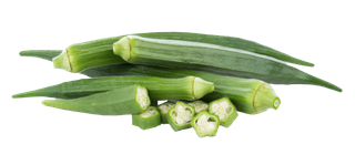 秋葵 (4)超市商品白底图免抠实物摄影png格式图片透明底