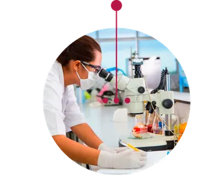 做研究人物实验员