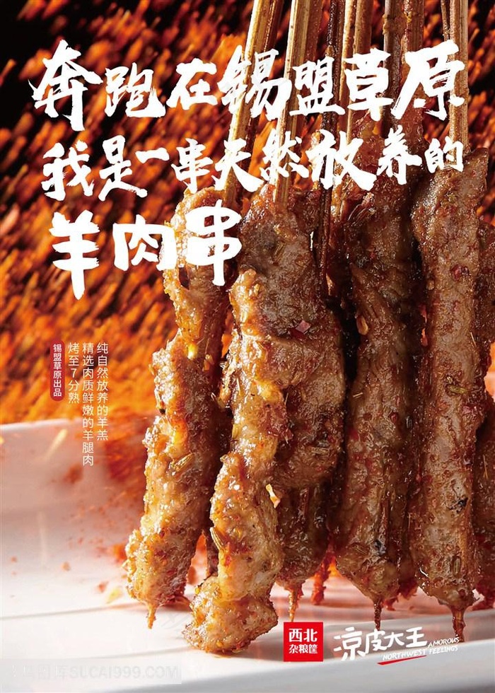 羊肉串个性标语海报（700x500mm）