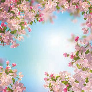 欢迎春天到花开风景