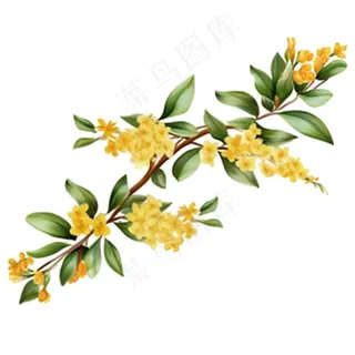 桂花黄花树枝免抠