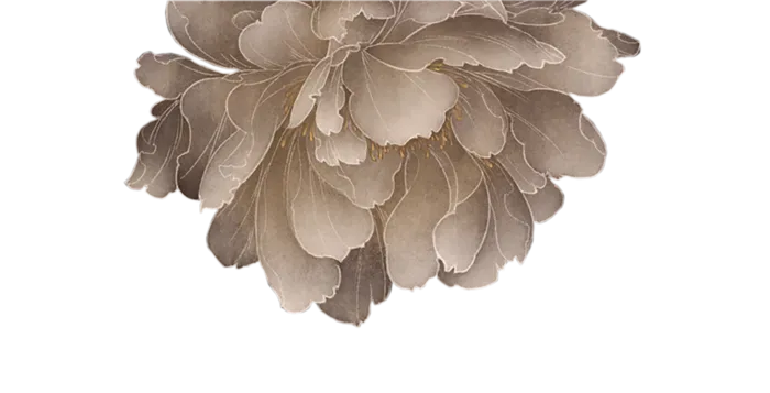 中国古风元素国画菊花