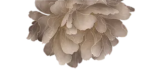 中国古风元素国画菊花