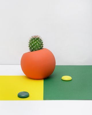 绿色仙人掌仙人球摄影素材