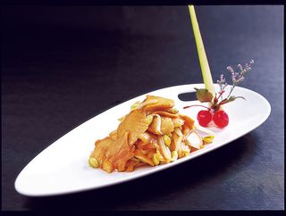 LCH0342大漠骆驼掌