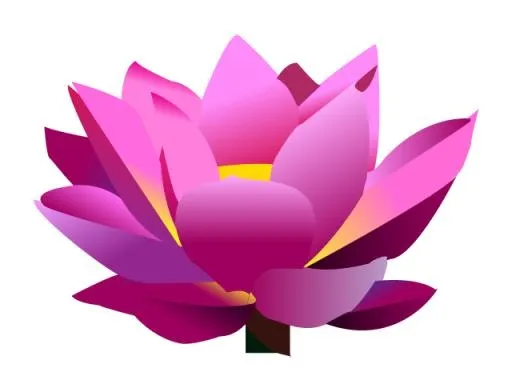 莲花 PNG免抠(640x480)