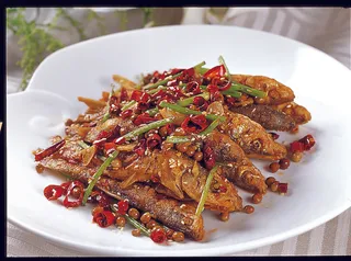 CXC01278汉江红尾鱼