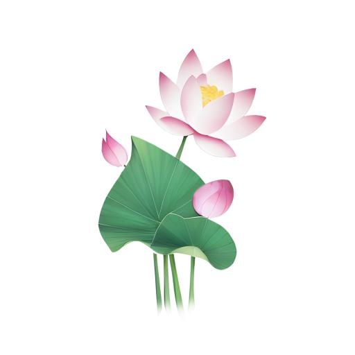 荷叶荷花莲蓬免抠