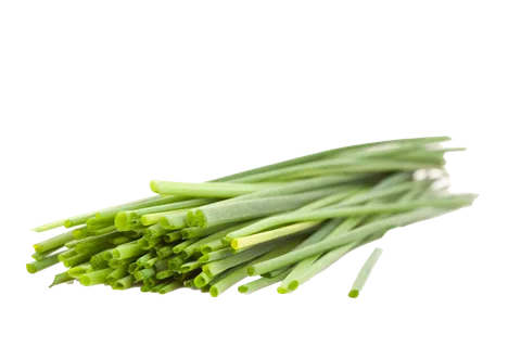 香葱超市商品白底图免抠实物摄影png格式图片透明底