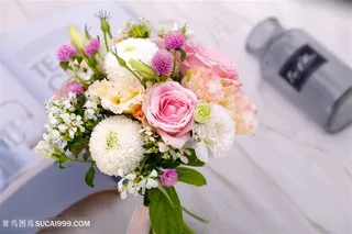 鲜花场景图高清图片