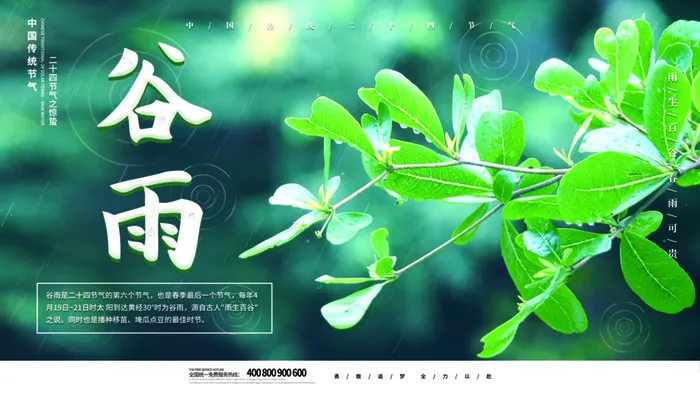 谷雨二十四节气海报设计psd模版下载