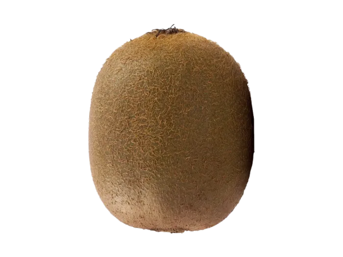 免扣素材猕猴桃