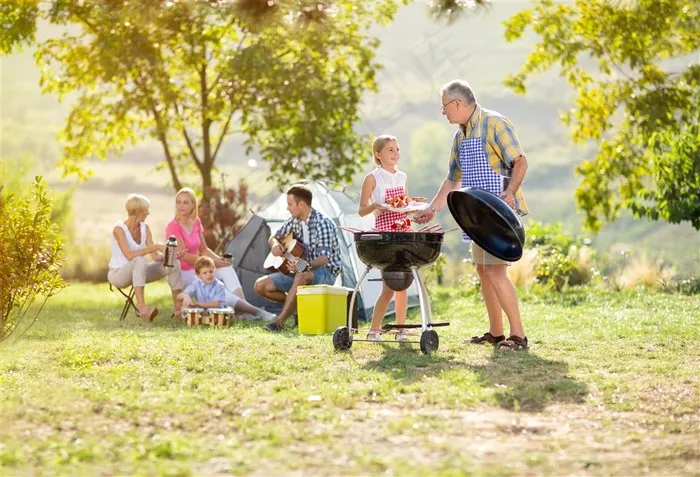 野餐的户外家庭