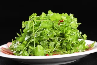 L01668肉肠三叶香