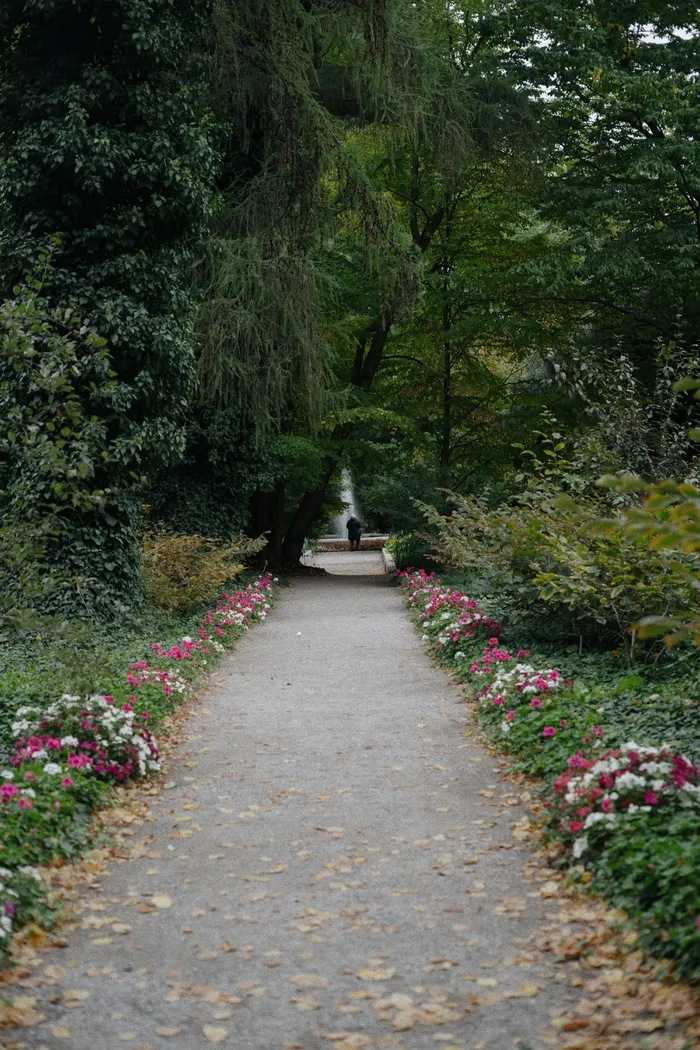 超清鲜花小路