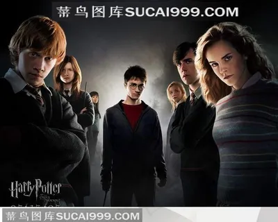 国外好莱坞好看的电影大推荐-哈利波特少男少女集合