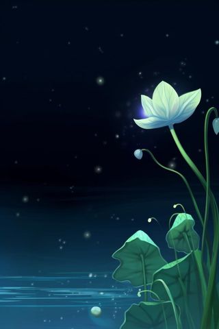 国风夜晚荷花荷叶大气背景