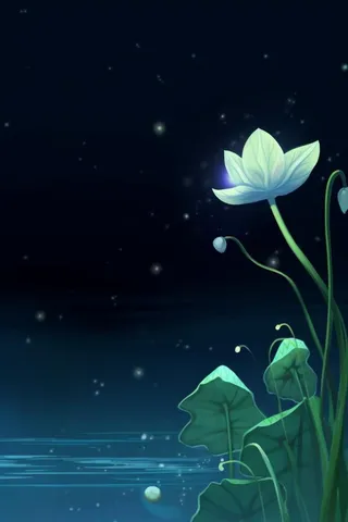 国风夜晚荷花荷叶大气背景