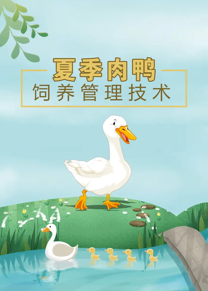 夏季肉鸭饲养管理技术psd模版下载
