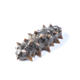 头足类(26)海鲜超市商品红酒白底图免抠实物摄影png格式图片透明底